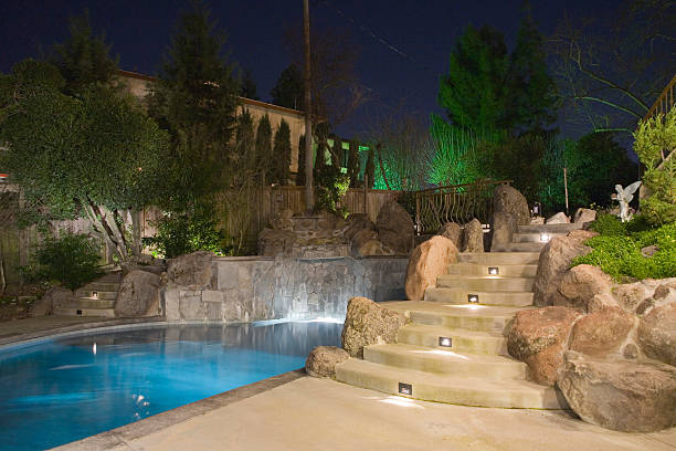 landscape around the pool at night. january.